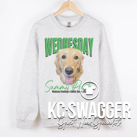 SPE PANTHERS ASH JERZEES SWEATSHIRT